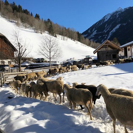 Auerhof Schladming Exterior foto
