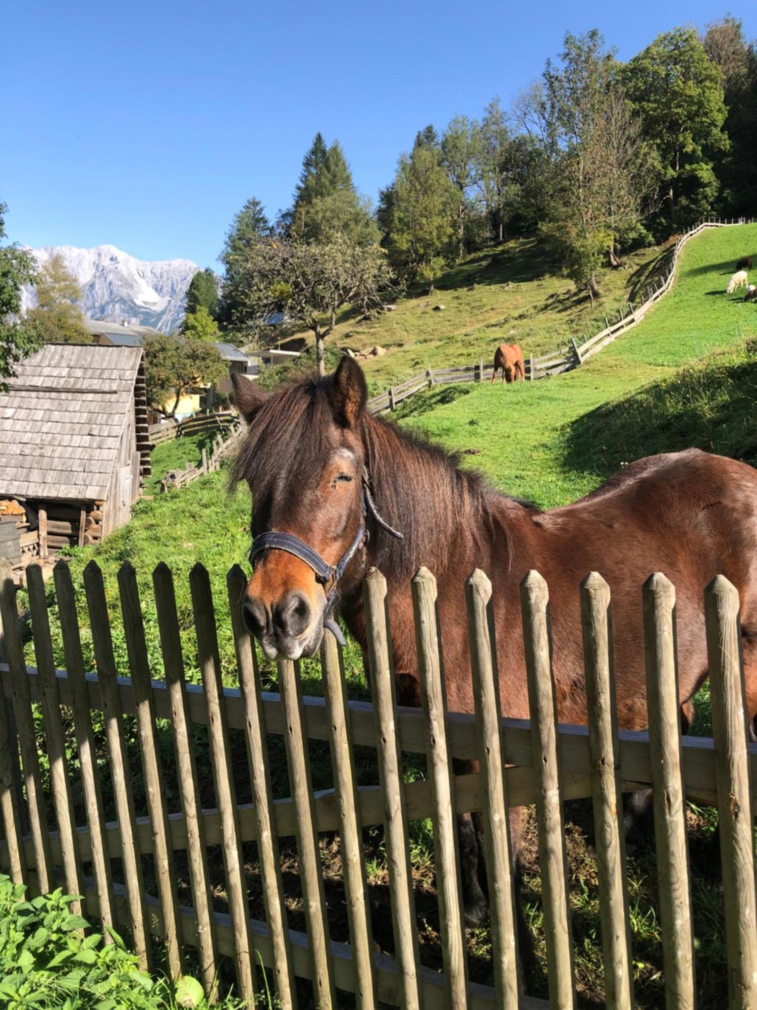 Auerhof Schladming Exterior foto
