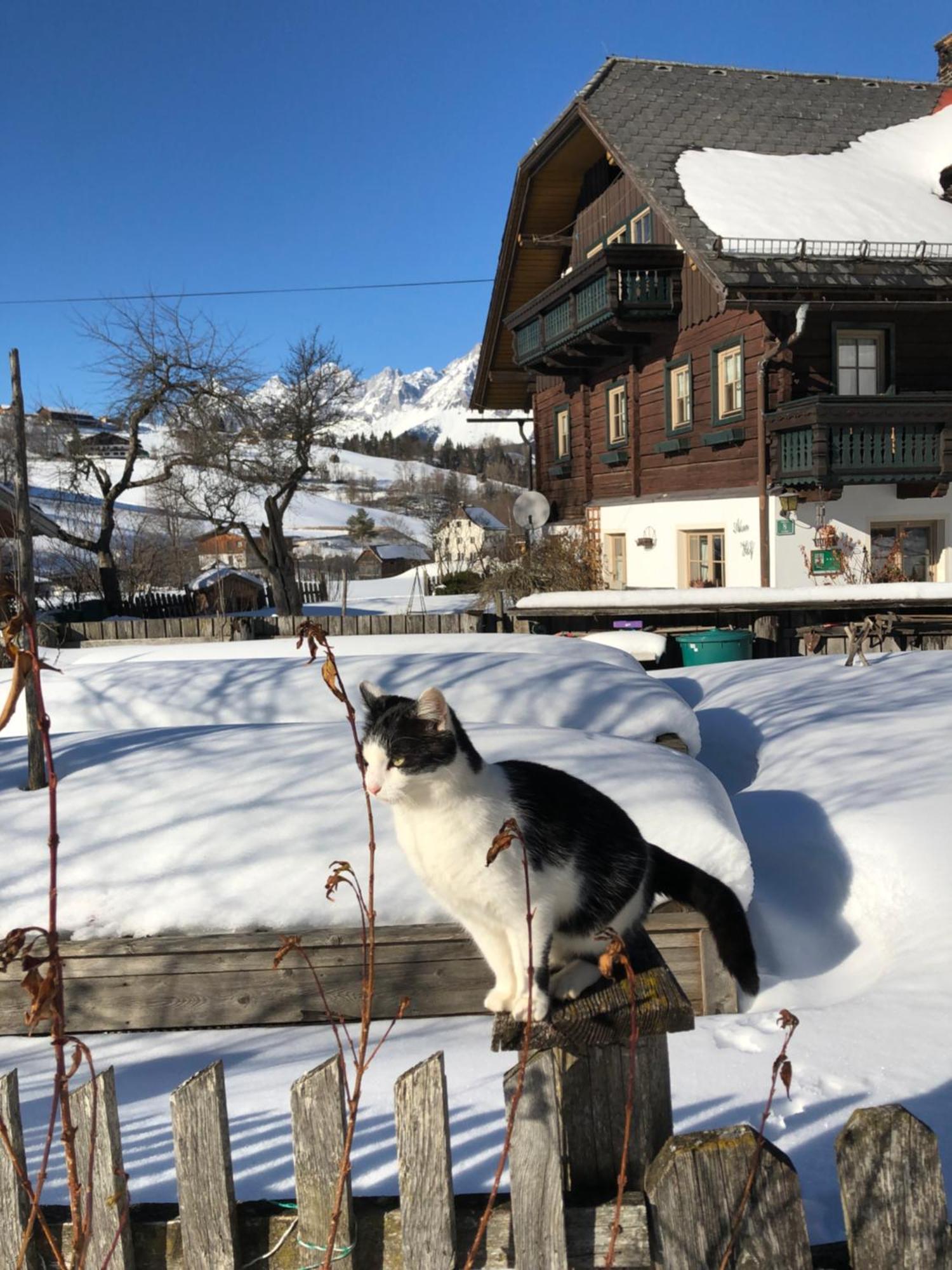 Auerhof Schladming Exterior foto