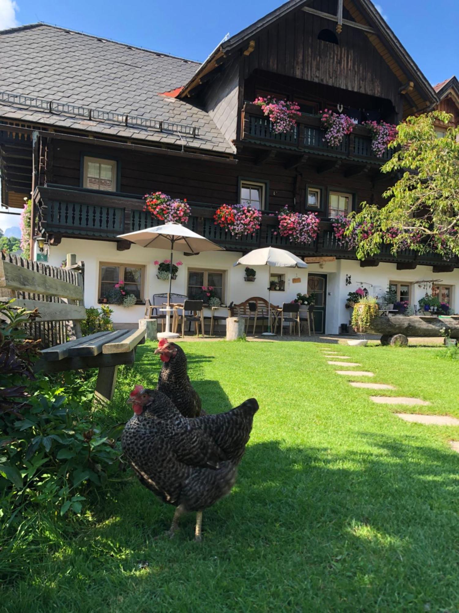 Auerhof Schladming Exterior foto